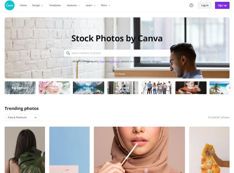 Screenshot of Canva stock photo search