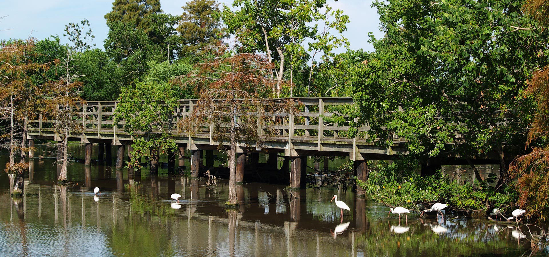 Metairie Real Estate Listings Robin Realty