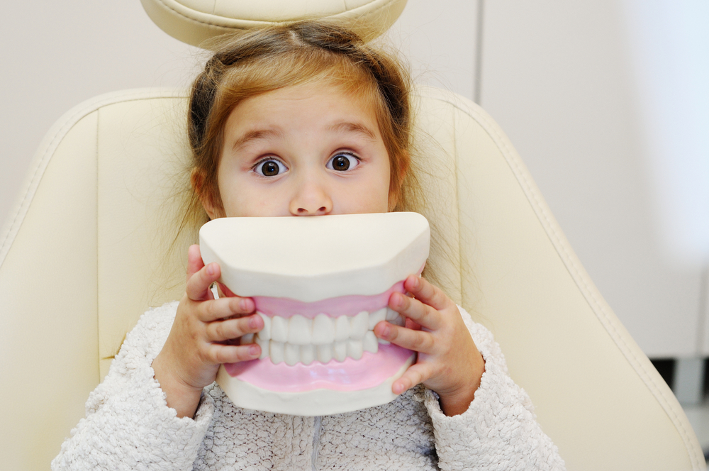 Child holding teeth model over her mouth
