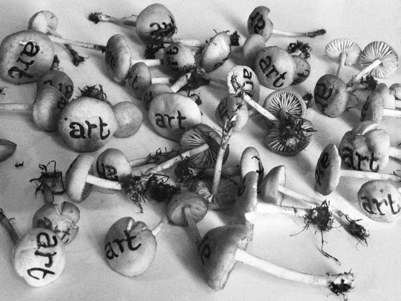 Géza Perneczky, Concepts like Commentary, 1971 – conceptual photography