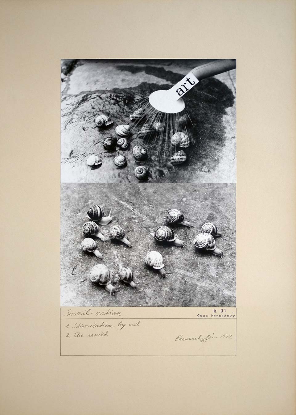 Géza Perneczky Snail Action Metropolitan Museum collection