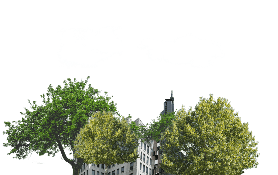 City and trees