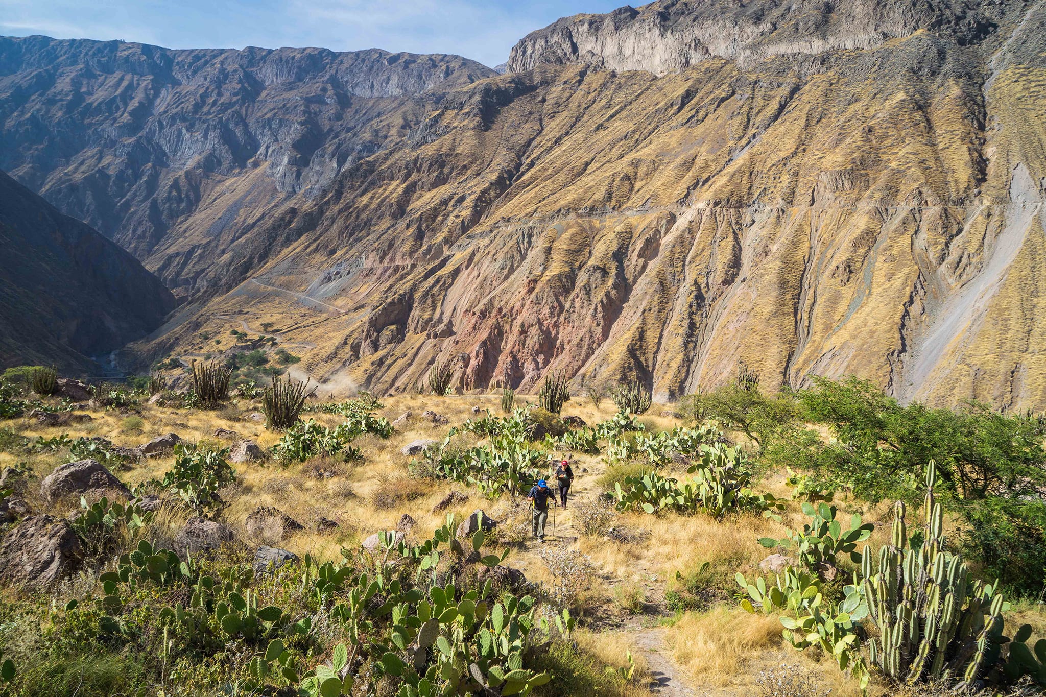 Colca Canyon Trek - 3 Days – Peru – FlashpackerConnect Adventure Travel