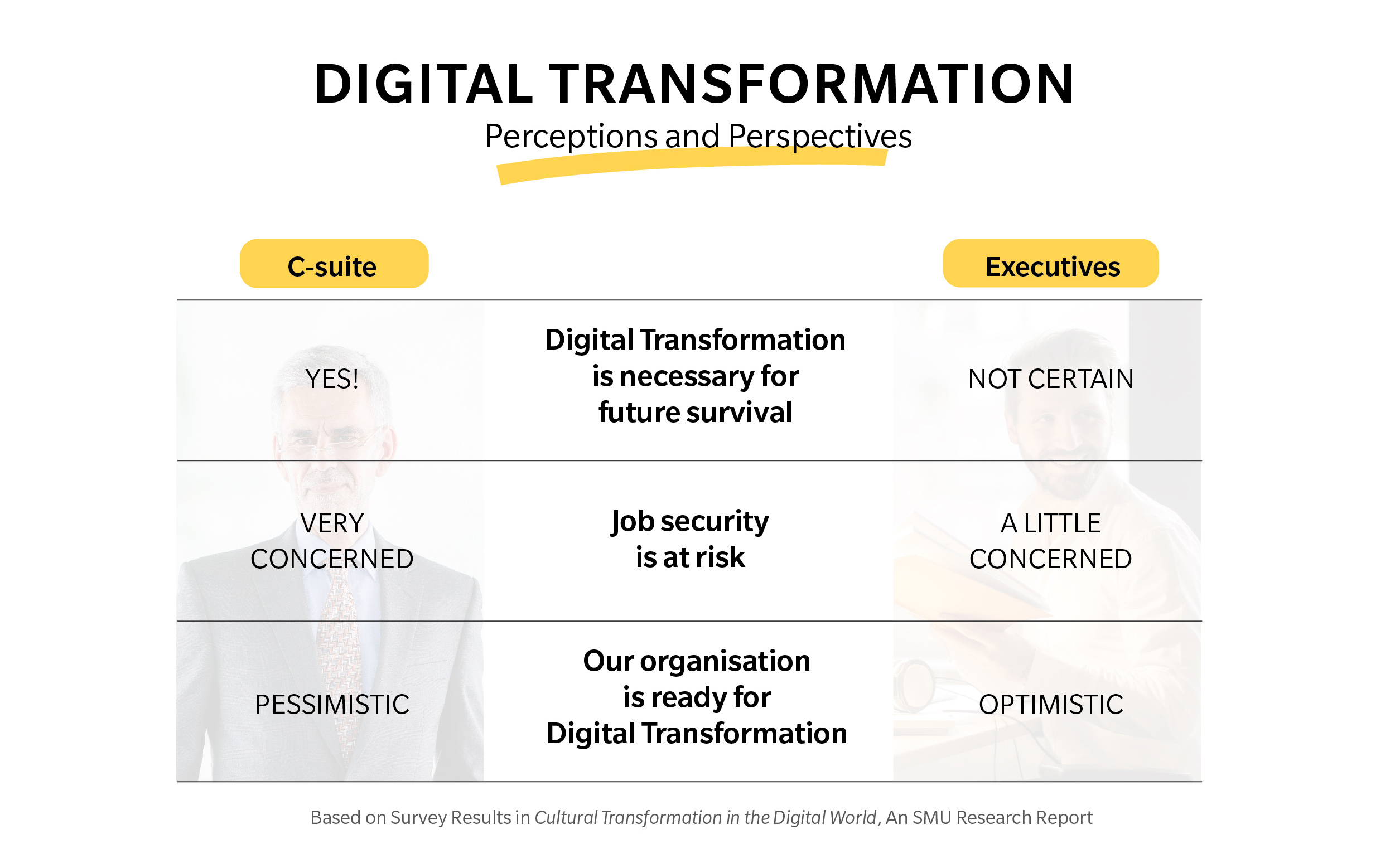 Digital Transformation Perceptions and Perspectives