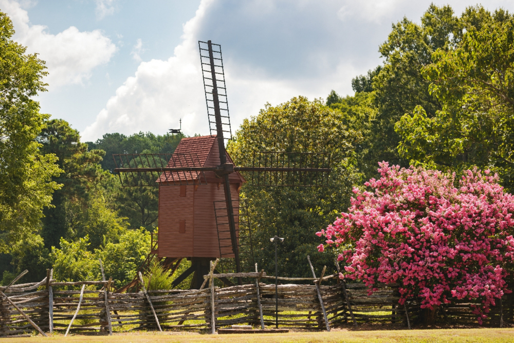 D2017-DLV-0719-0125h