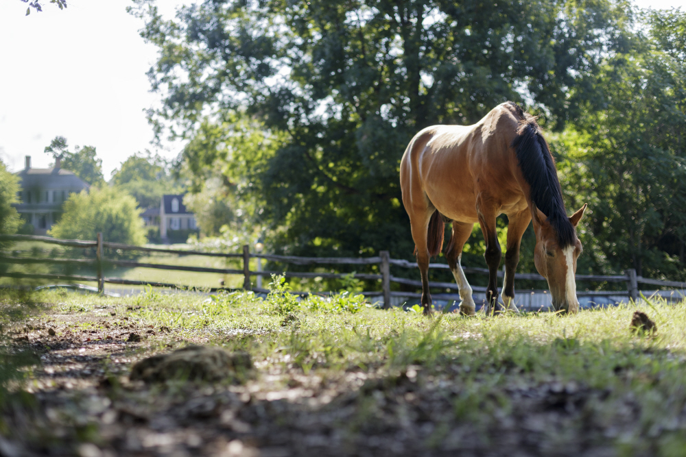 D2017-DLV-0810-0230a TT