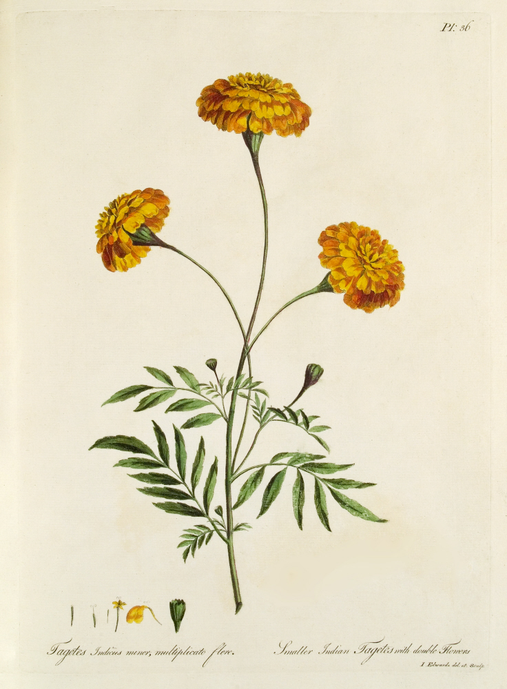 D2006-COPY-0201-2009