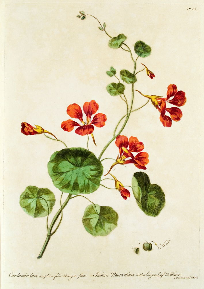 D2006-COPY-0201-2007