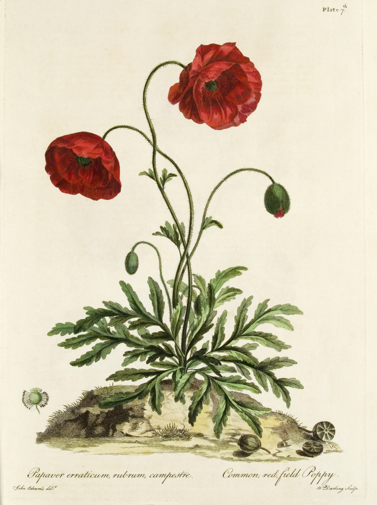 D2006-COPY-0201-2002