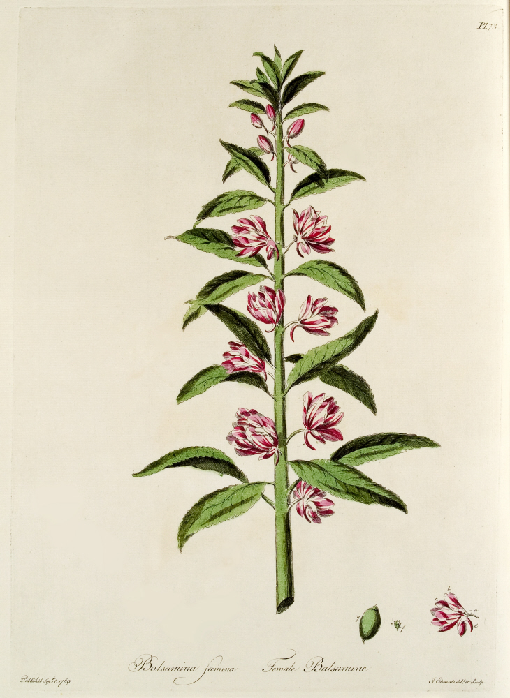 D2006-COPY-0201-2017