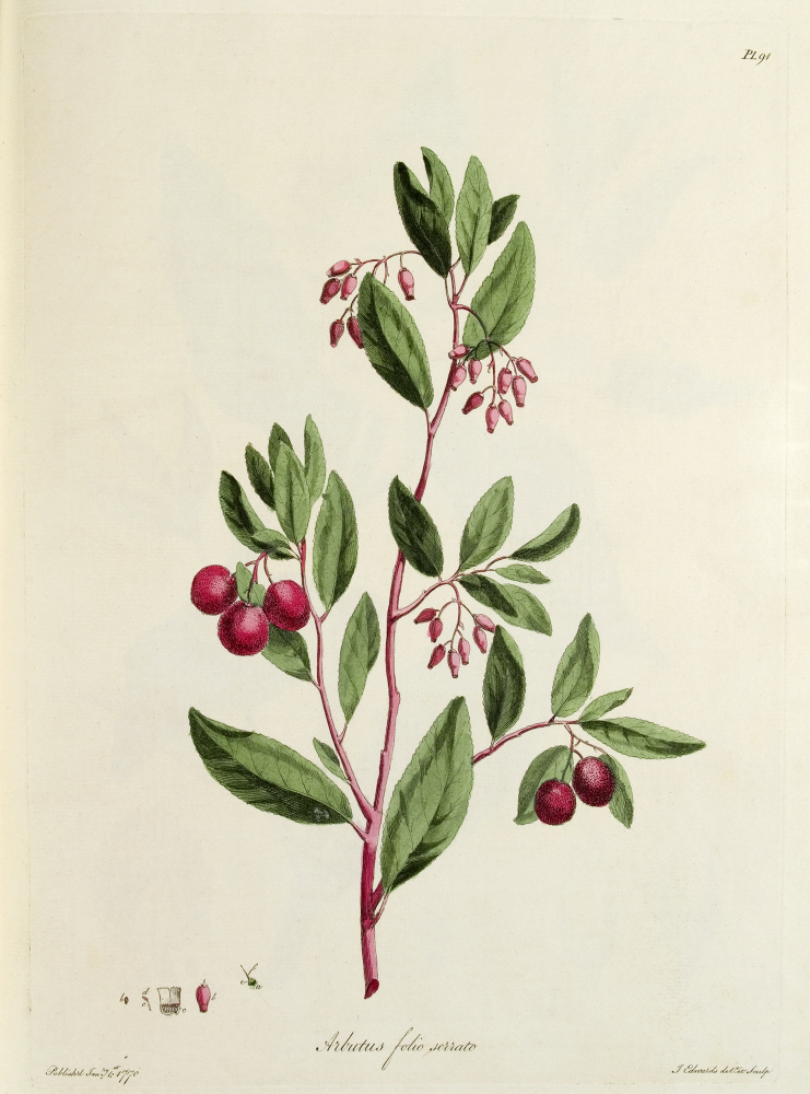 D2006-COPY-0201-2025