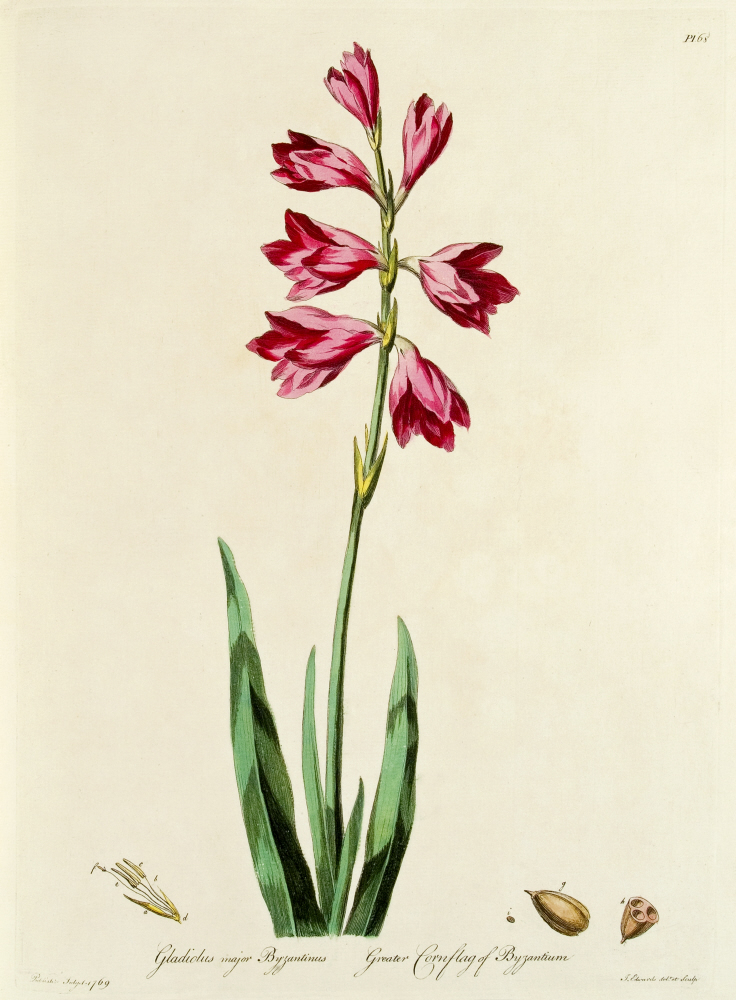 D2006-COPY-0201-2015