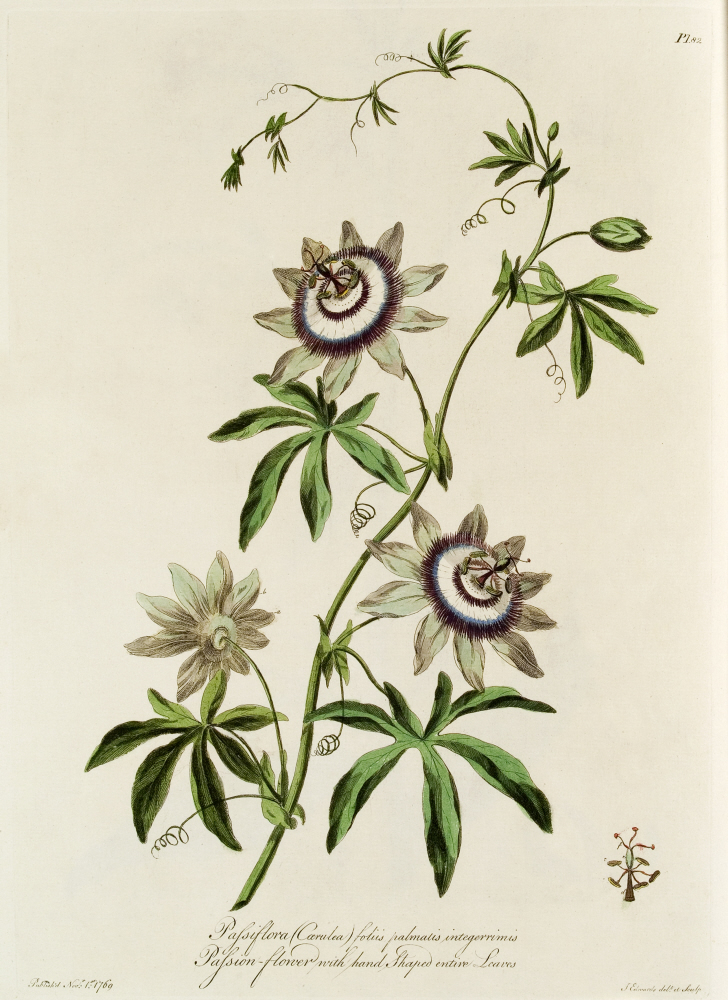 D2006-COPY-0201-2021