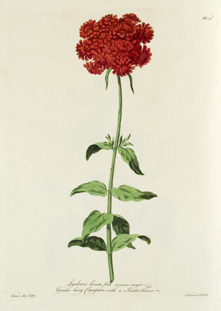 D2006-COPY-0201-2011