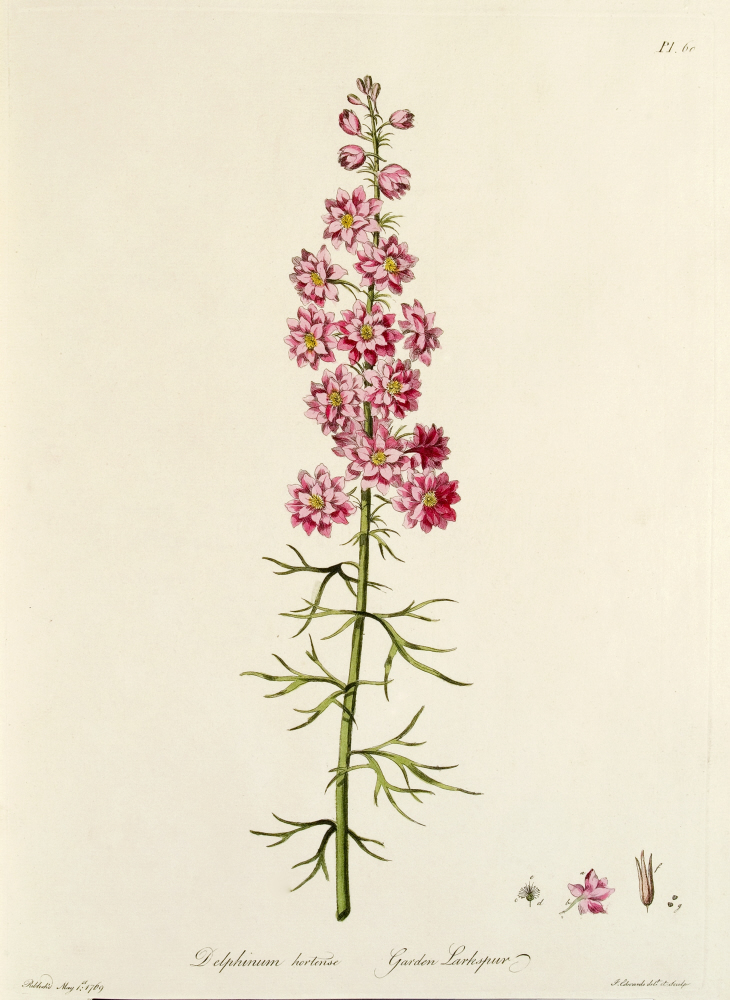 D2006-COPY-0201-2013