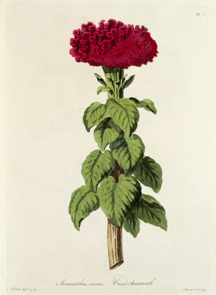 D2006-COPY-0201-2019