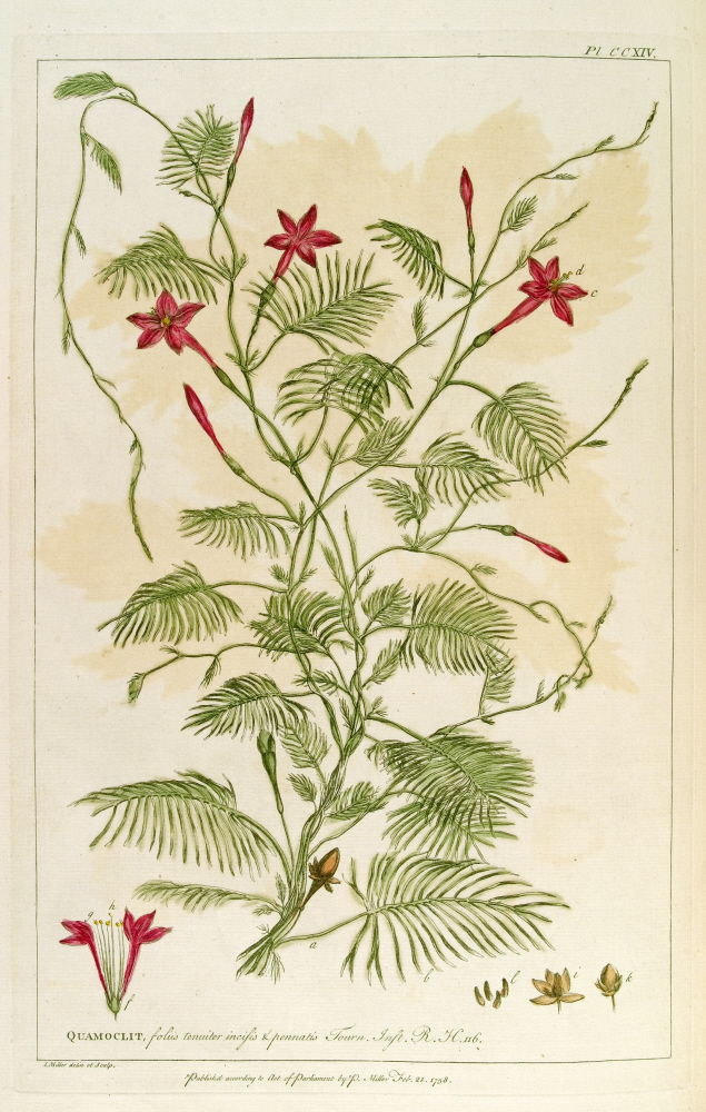 D2006-COPY-0125-1023