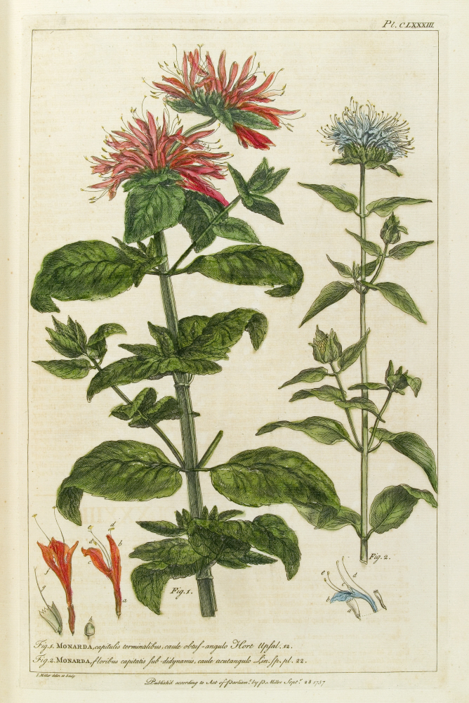 D2006-COPY-0125-1018