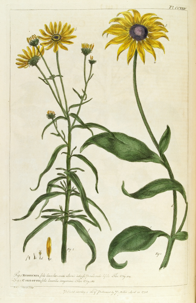 D2006-COPY-0125-1027