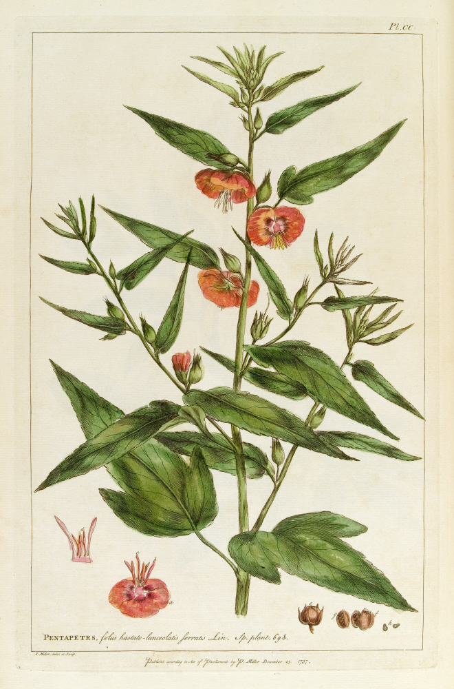 D2006-COPY-0125-1021