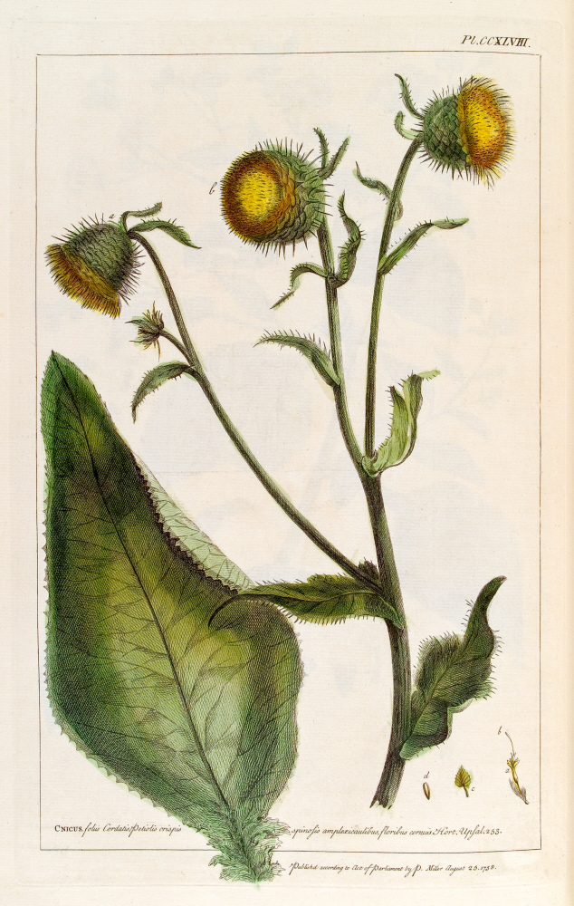 D2006-COPY-0125-1033