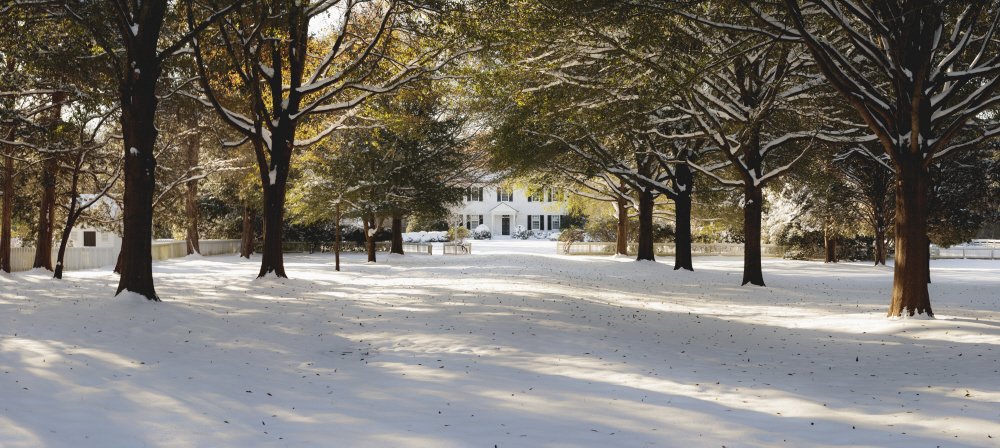 D2017-DLV-0108-0107p