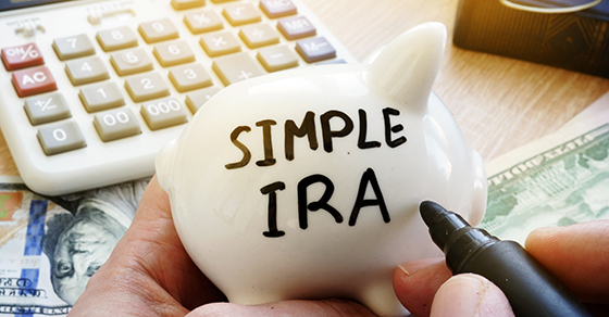 Simple IRA being written on a small ceramic piggybank