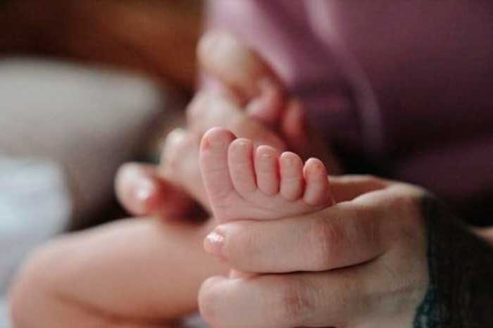 maternidad revista level