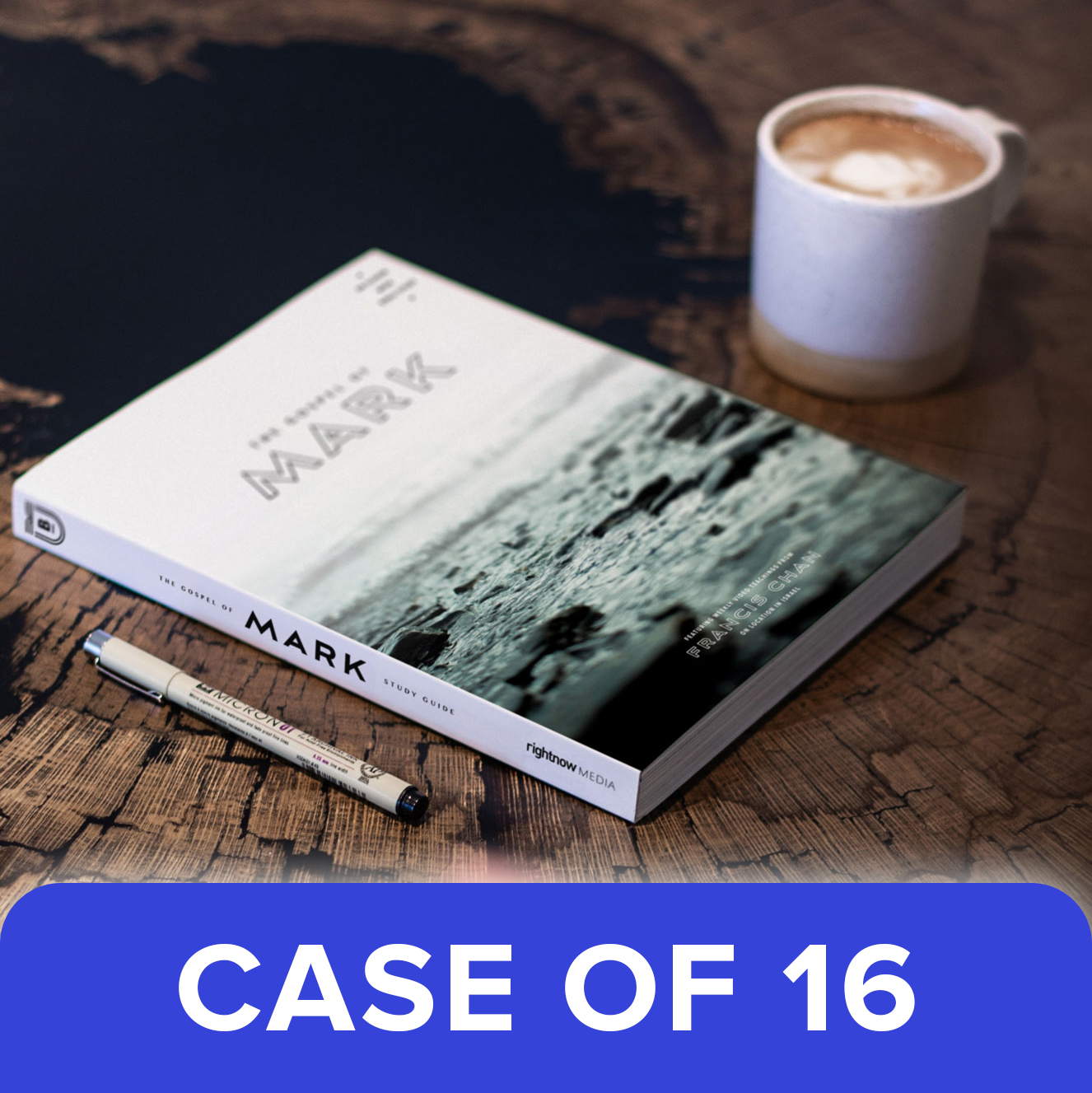 The Gospel Of Mark Study Guide The Gospel Of Mark Study Guide