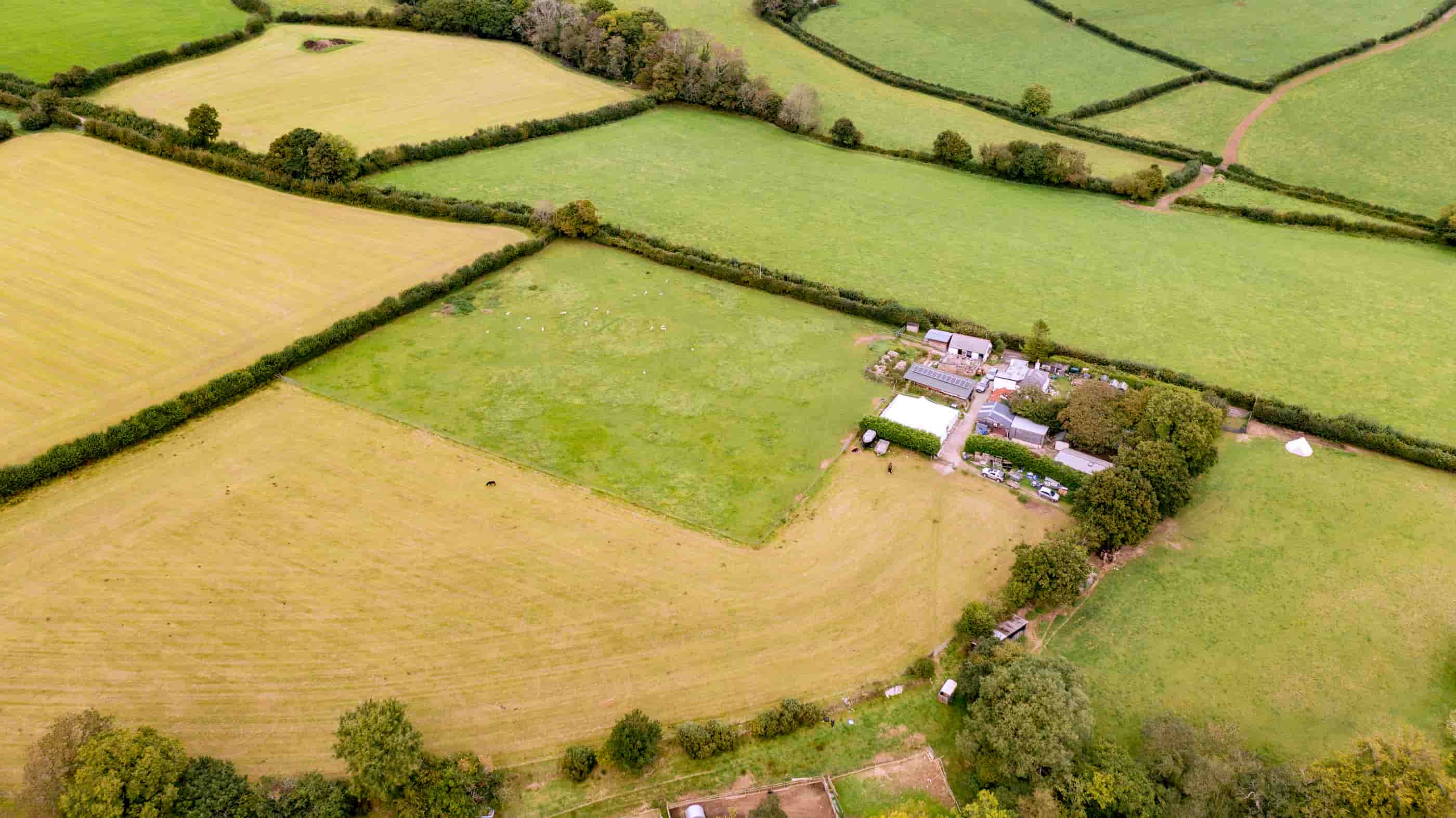 drone services for farm