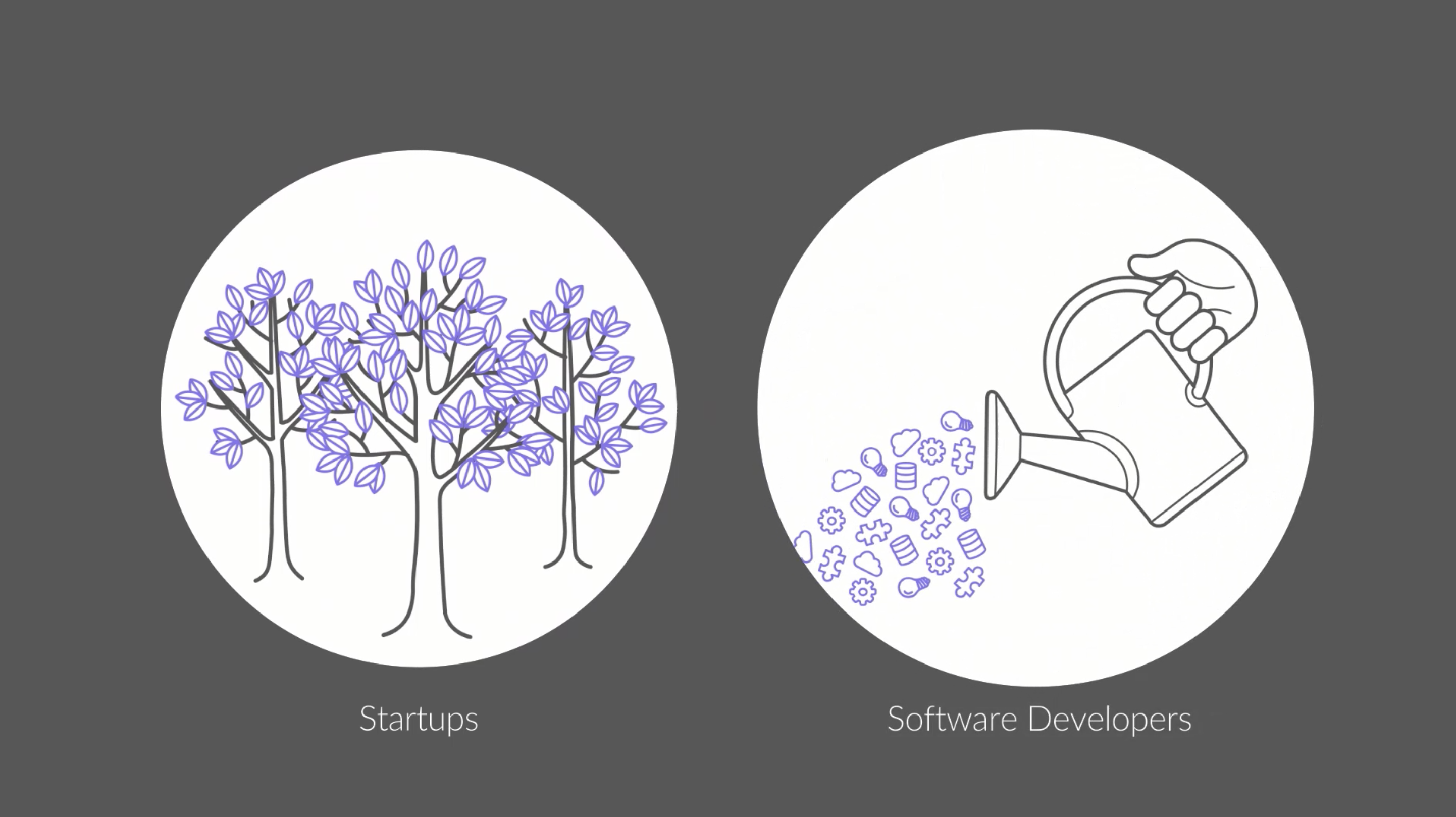 Turtle - remote software dev