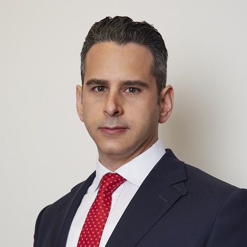 levin epstein profile