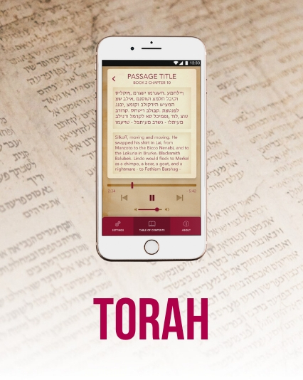 UI/UX design for torah study app