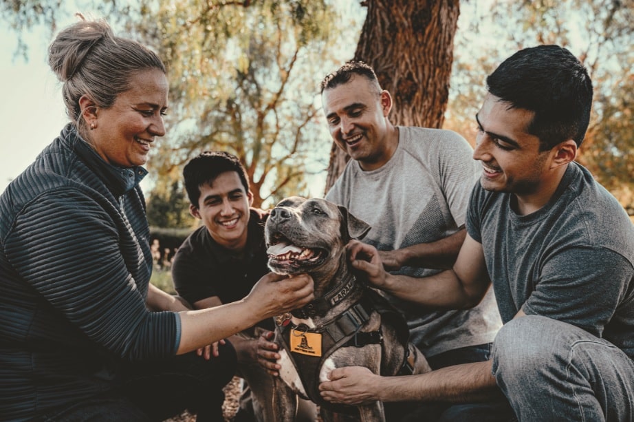 The holiday season can be stressful for people with disabilities and their service dogs.
