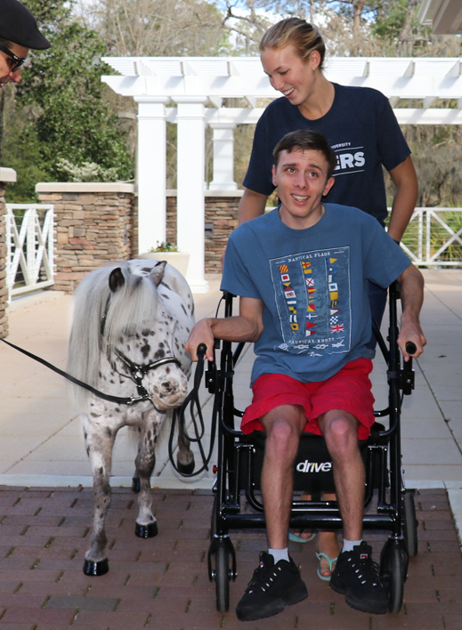 Miniature therapy horses help patients impacted by illness and/or disability.