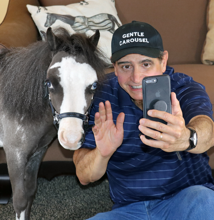 Miniature therapy horses help patients impacted by illness and/or disability.