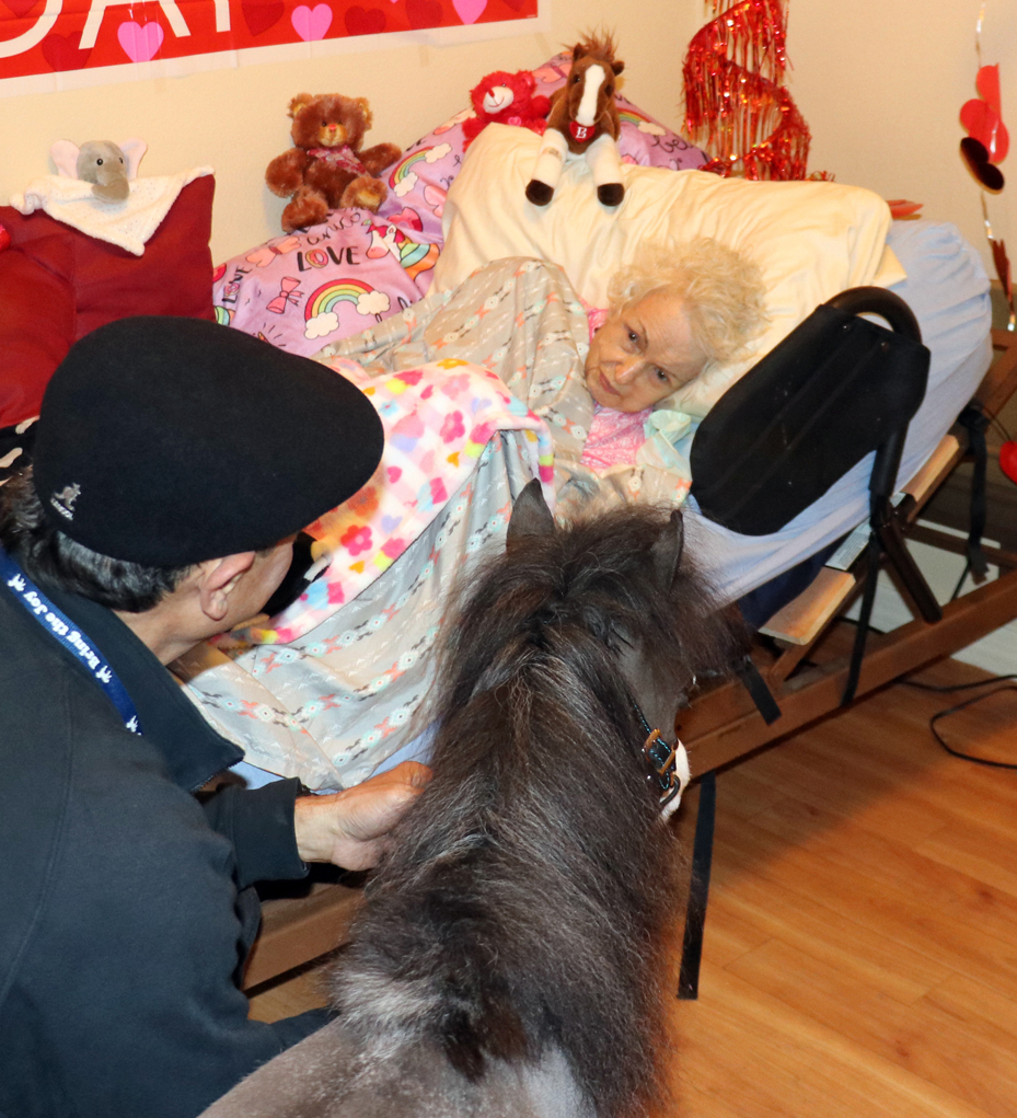 Miniature therapy horses help patients impacted by illness and/or disability.