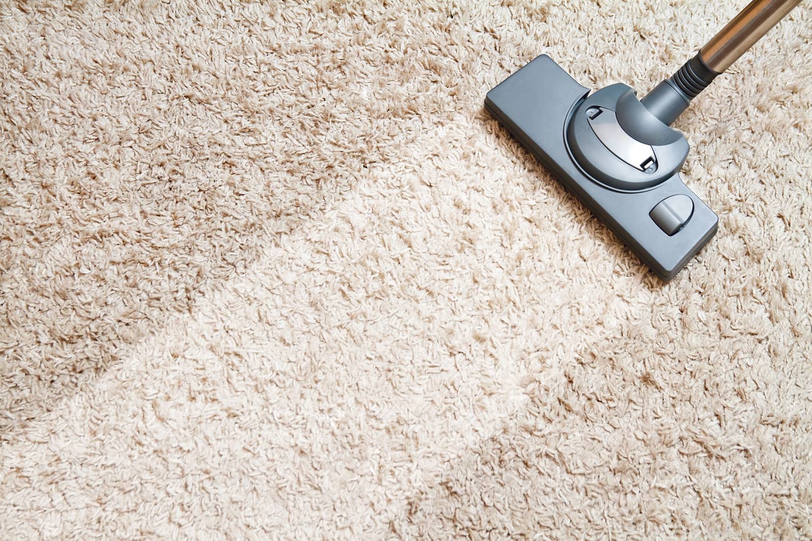 Green Carpet Cleaning Noble Carpet Cleaners
