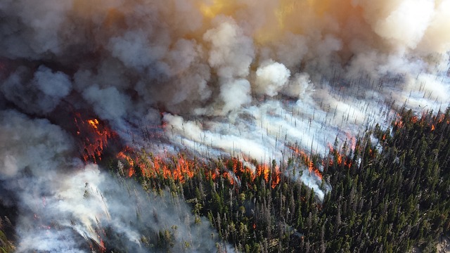 wildfires