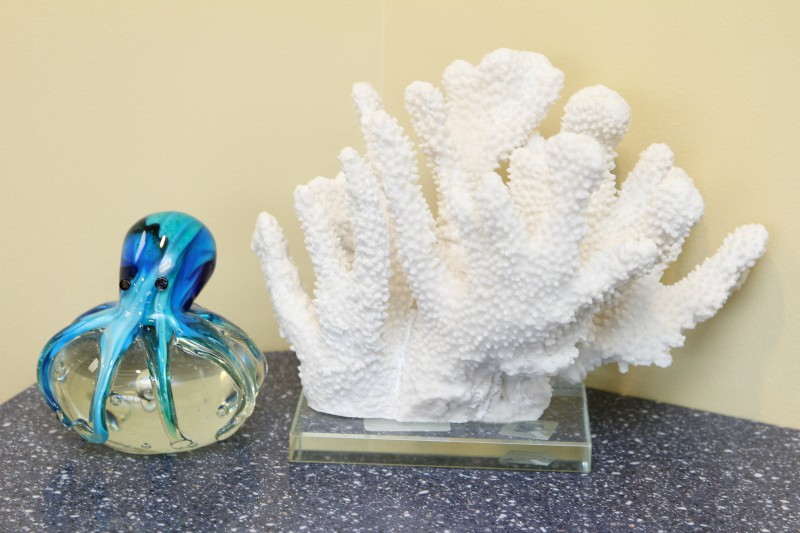 Bensalem Pediatric Dentist Sea of Smiles