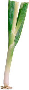 Restaurant menu ingredient