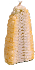 Restaurant menu ingredient