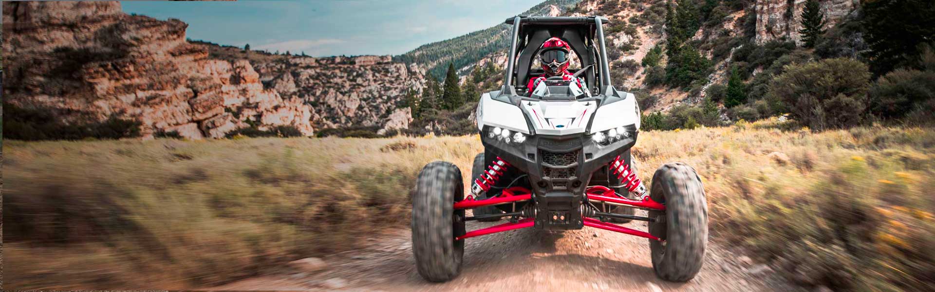 RZR® RS1