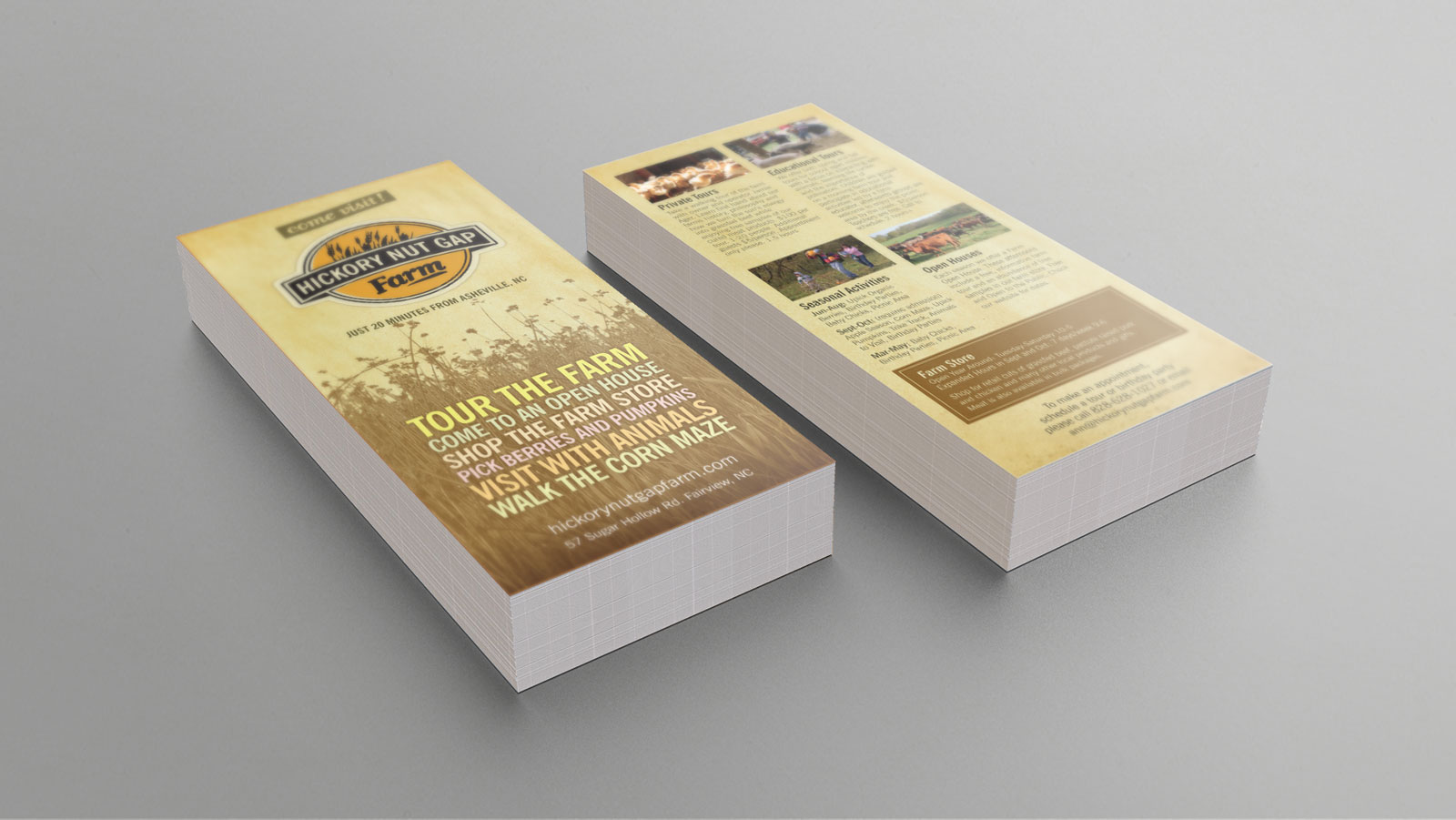 Hickory Nut Gap Farm rack card with grass and logo centered
