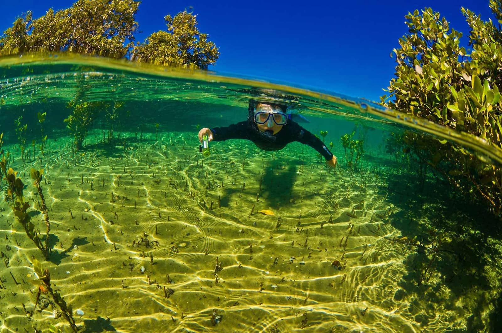 New Zealand Underwater Clean Seas, Best Practice, Home Safe