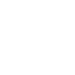 FAQ icon