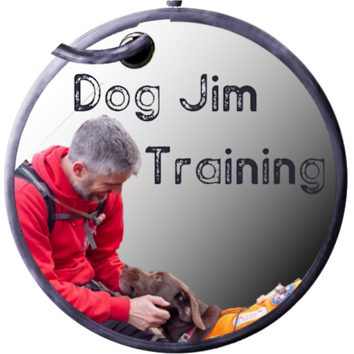 Dog Jim Training