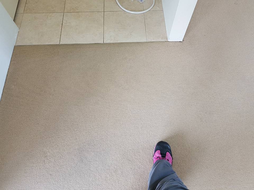 A carpet after being cleaned
