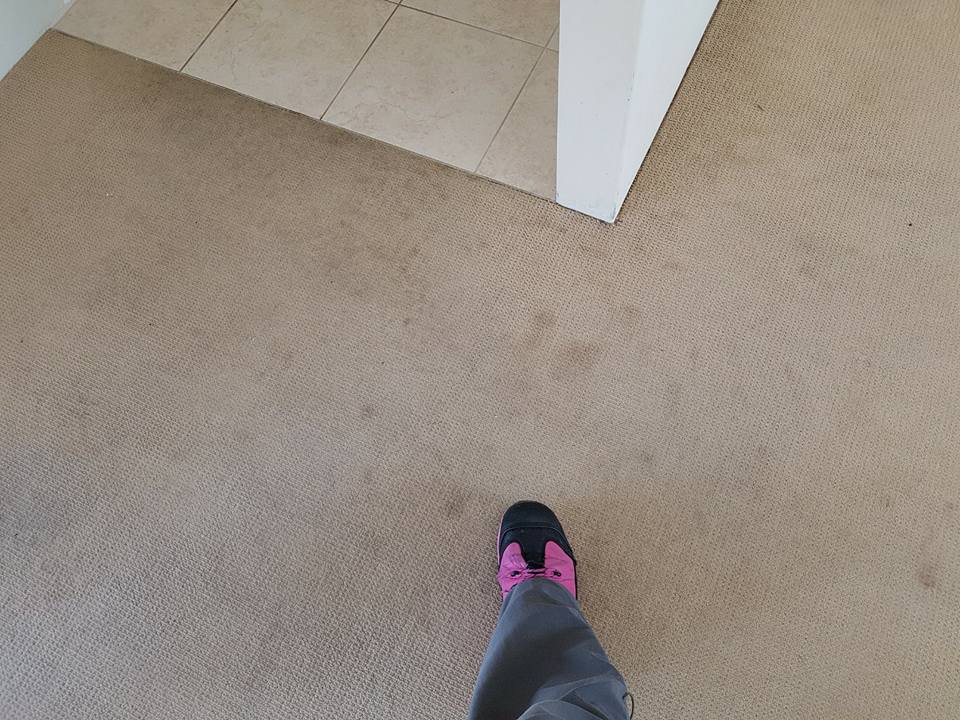 A carpet before it was cleaned