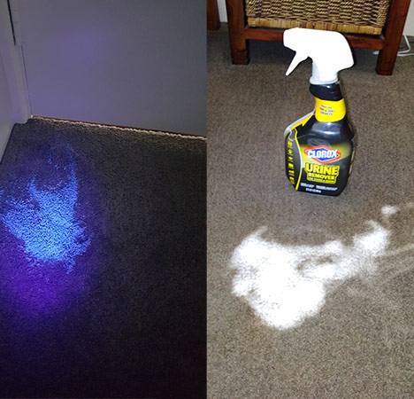 Before and after of a cleaned couch cushion